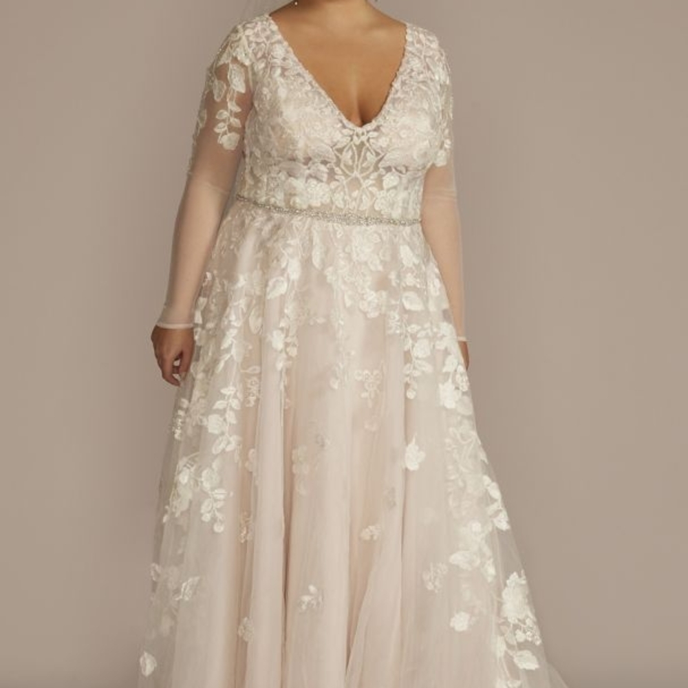 Wedding Plus Size Dress - David's Bridal Galina Signature 22W